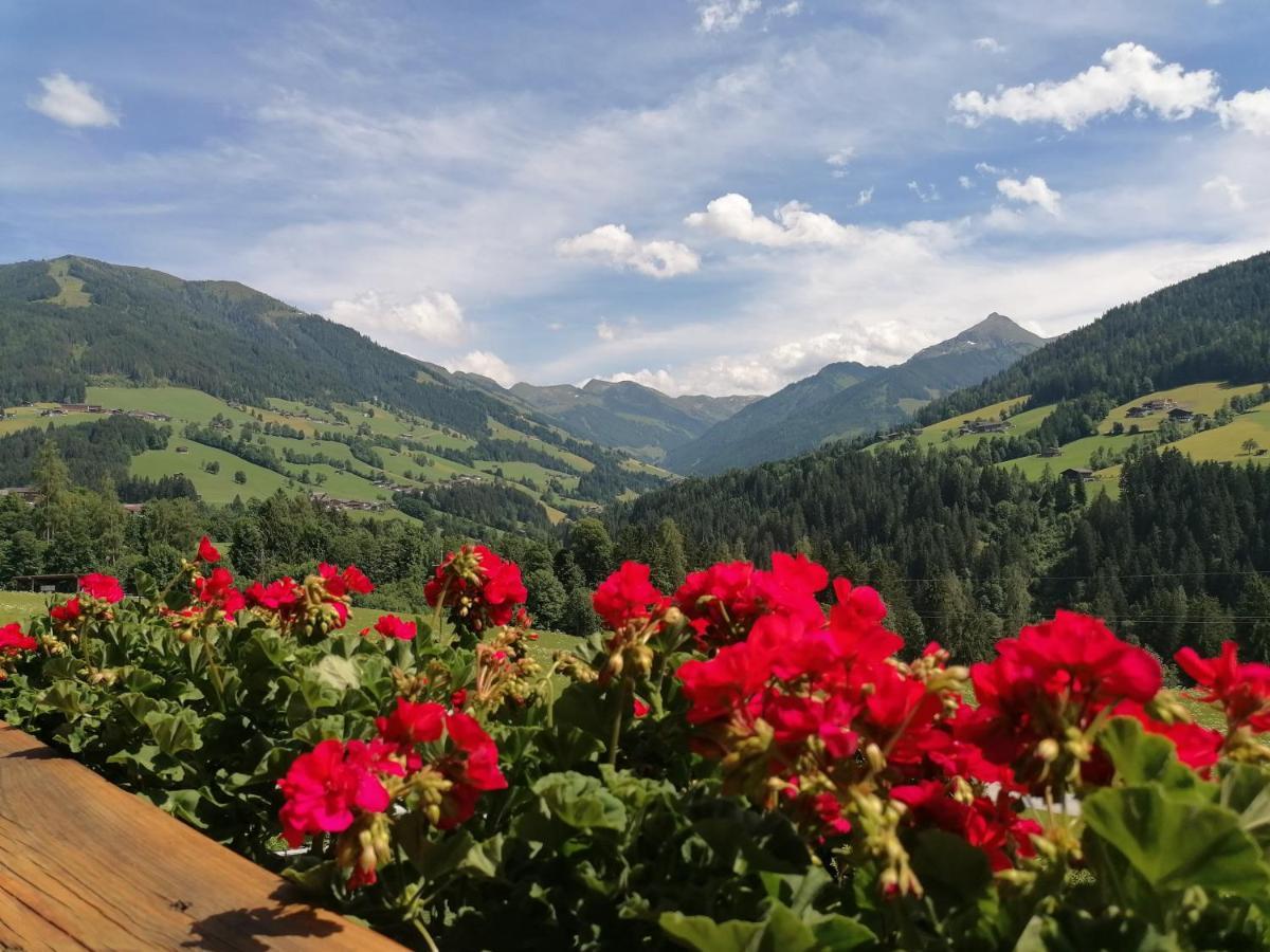 Haus Schmetterling Apartment Alpbach Bagian luar foto