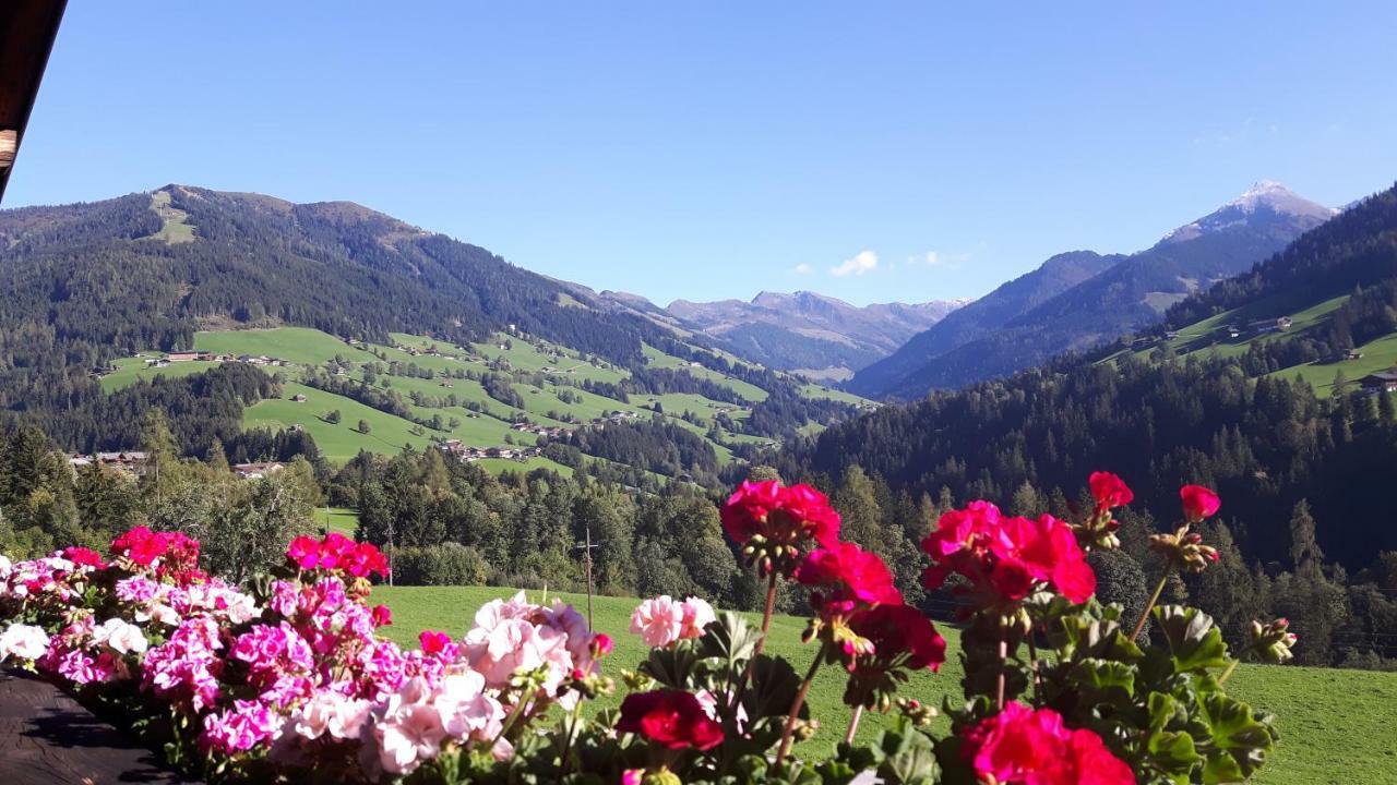 Haus Schmetterling Apartment Alpbach Bagian luar foto
