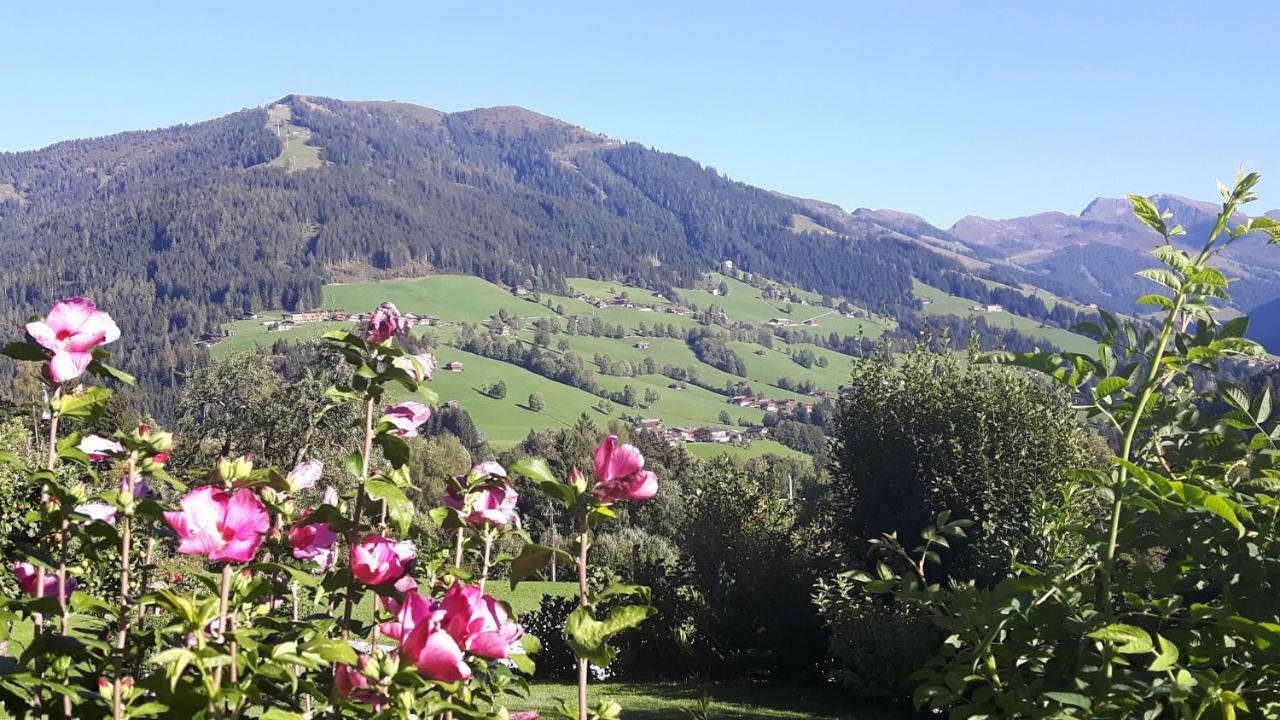 Haus Schmetterling Apartment Alpbach Bagian luar foto